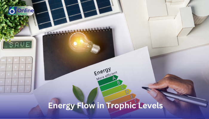 Lesson 06: Explanation of Energy Flow in Trophic Levels